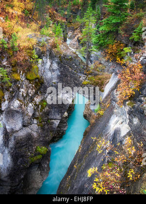 Ruisseau Tokumm, Marble Canyon. Kooteny National Park, Canada Banque D'Images