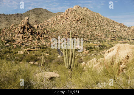 Paysage de la vallée du désert de l'Arizona, près de Phoenix, Scottsdale, États-Unis d'Amérique Banque D'Images