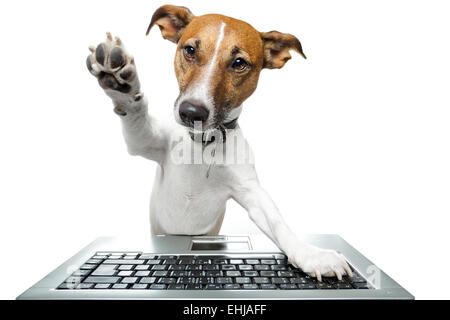 Ordinateur tablette pc chien Banque D'Images