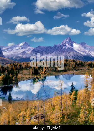 L'automne et le lac Hungabee Mélèze coloré comme vu du dessus .Le parc national Yoho, Plateau Opabin, British Columbia, Canada Banque D'Images