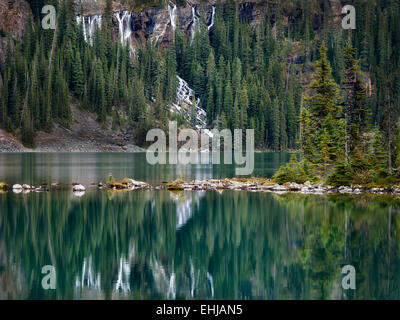 Sept Voiles Cascade et le lac O'Hara. Parc national Yoho, Plateau Opabin, British Columbia, Canada Banque D'Images