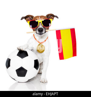 Chien comme au foot avec drapeau espagnol Banque D'Images