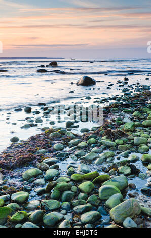 Côte de la mer Baltique au coucher du soleil Banque D'Images