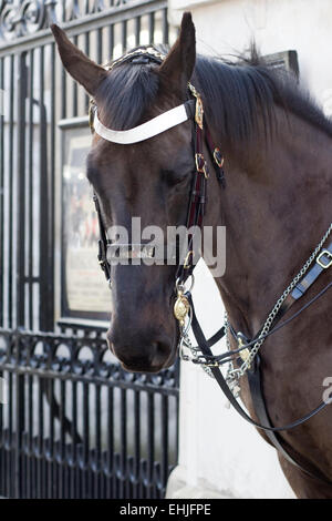 Calvaire à ménage Horseguards Parade Londres Angleterre Banque D'Images