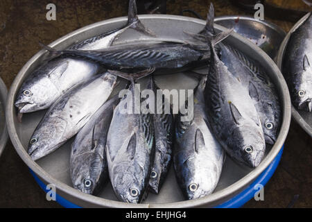 Scène de marché,les poissons,fournisseurs,Phu Quoc, Vietnam,Asie, Banque D'Images