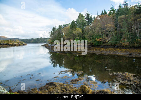 Glengarriff West Cork Irlande Banque D'Images