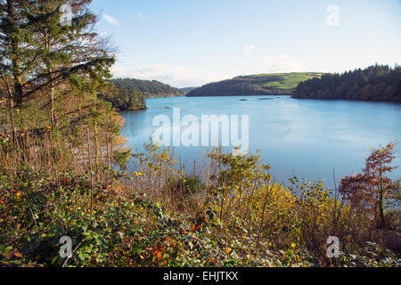 Glandore harbour, West Cork Irlande Banque D'Images