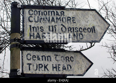 Island road sign n71 dans le comté de Cork en Irlande Banque D'Images