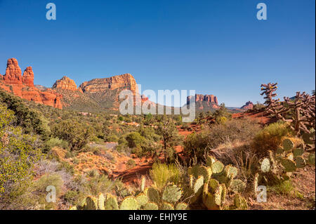 Paysage du sud-ouest Deux Soeurs Castle Rock Courthouse Butte Bell Rock et de cactus dans le désert Arizona Sedona Southwest USA Banque D'Images