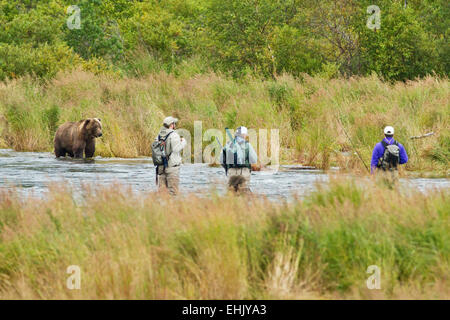 Les pêcheurs côtiers et l'ours brun dans le parc national de Katmai, Alaska Banque D'Images