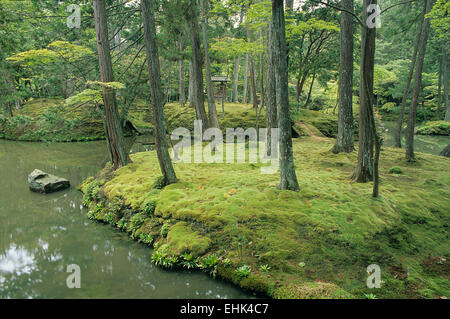 Saiho Route-ji est également connu sous le nom de Koka-dera ou le Temple de la mousse et est de neuf cent ans. Banque D'Images