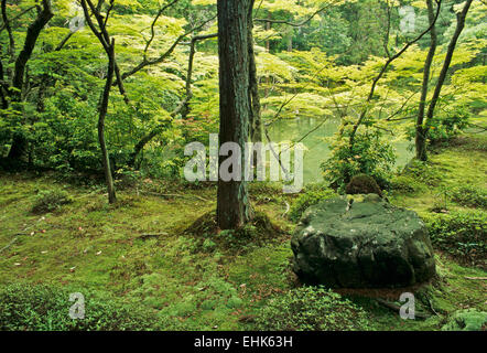 Saiho Route-ji, également connu sous le nom de Koka-dera, temple ou la mousse, est l'un des plus vénérables jardins dans le Arashyama district de Kyoto. Banque D'Images