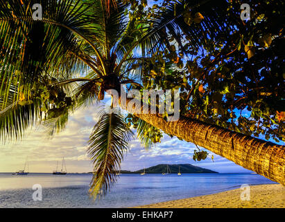 Plage de Blue Lagoon, Nanuya Lailai, Yasawa Island. Les îles Fidji. Pacifique Sud. Océanie Banque D'Images