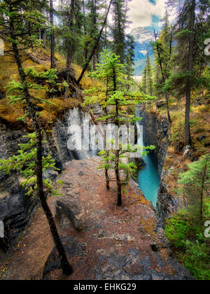 Dans le canyon du ruisseau de beauté. Le Parc National Jasper, Alberta, Canada Banque D'Images