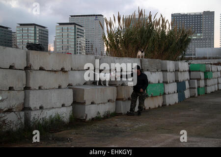 L'homme avec les chiens bull terrier (PUG) et sur des blocs de ciment dans la région de Diagonal Mar i Forum de Barcelone, Catalogne, Espagne Banque D'Images