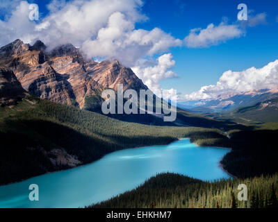 Le lac Peyto. Le parc national Banff. L'Alberta. Le Canada. Banque D'Images