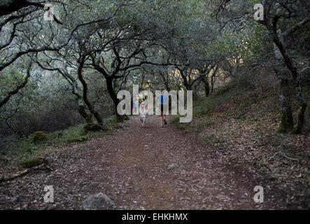 Femme, chien, sentier de randonnée, Arroyo de San Jose, chute d'Arroyo de San Jose, Novato, comté de Marin, en Californie Banque D'Images