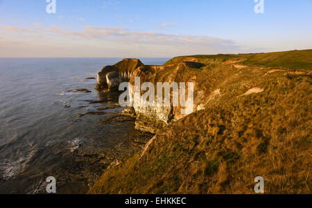 Les hautes falaises de craie à Flamborough Head au lever du soleil avec la mer du Nord recule de marée, East Riding of Yorkshire, UK. Banque D'Images