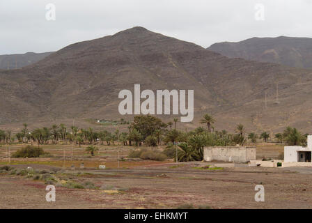 Vue sur la campagne à Fuerteventura canaries, sec, collines et plaines arides de quelques palmiers et petites maisons blanches Banque D'Images