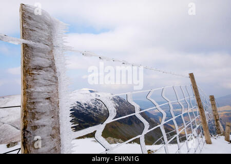 Les cristaux de glace sur les barbelés et une clôture post le Foel Goch mountain top à la fin de l'hiver. Le Parc National de Snowdonia, le Nord du Pays de Galles, Royaume-Uni Banque D'Images