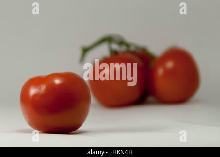 Tomate rouge dodue mûre unique soutenu par regroupement de trois tomates brouillée avec fond blanc Banque D'Images