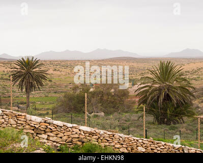 Vue sur la campagne à Fuerteventura canaries, sec, collines et plaines arides de quelques palmiers et petites maisons blanches Banque D'Images