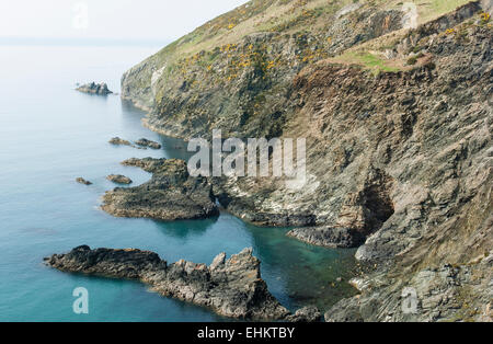 Le littoral escarpé de l'île de dinas, Pembrokeshire, Pays de Galles Banque D'Images