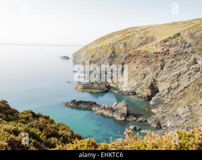 Le littoral escarpé de l'île de dinas, Pembrokeshire, Pays de Galles Banque D'Images