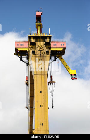 Samson, l'un des deux jaunes grues Harland and Wolff à Belfast Banque D'Images