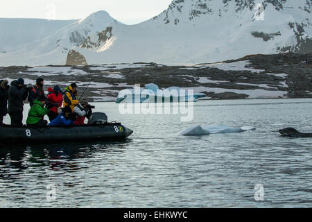 Les photographes en photographiant l'expédition leopard Seal Bay, Antarctique, Pleneau Banque D'Images