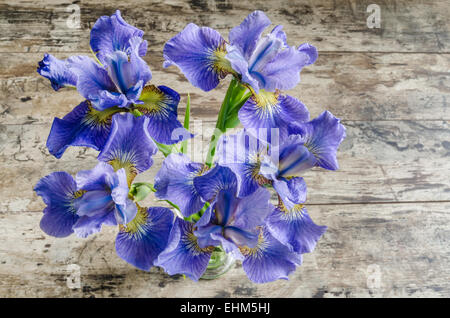 Blueflag Bouquet de fleurs ou de l'iris sur fond de bois. Vue aérienne Banque D'Images