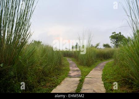 Chemin se divise deux directions, fourchette dans la route Banque D'Images