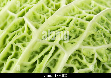 Feuilles de chou de close-up Banque D'Images