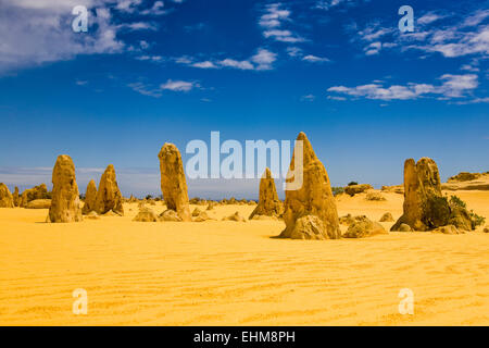 Les Pinnacles, le Parc National de Nambung, Australie occidentale Banque D'Images