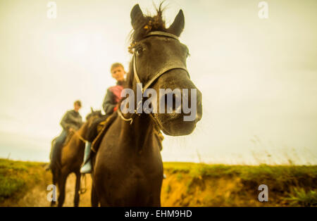 Close up of young child riding horse Banque D'Images
