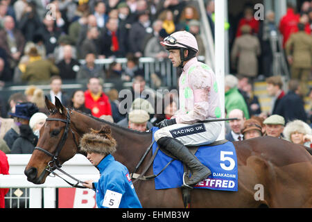 13.03.2015 - Cheltenham, Djakadam monté par Ruby Walsh, sur le chemin du départ pour la Cheltenham Gold Cup Betfred Chase Grade 1. Credit : Lajos-Eric turfstock.com/Balogh Banque D'Images