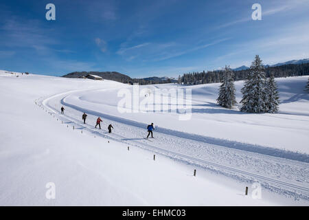 Piste de ski de fond, Winklmoosalm alp, Reit im Winkl, Alpes de Chiemgau, Upper Bavaria, Bavaria, Germany Banque D'Images