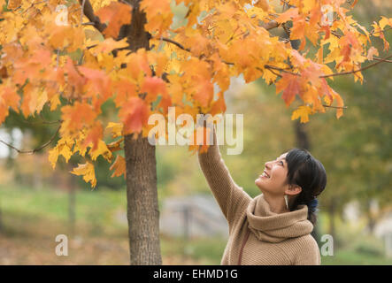 Asian Woman Reaching for autumn leaves in park Banque D'Images