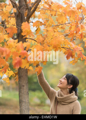 Asian Woman Reaching for autumn leaves in park Banque D'Images