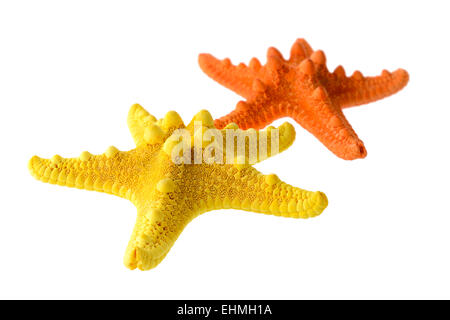 Objets isolés : deux étoiles de mer, orange et jaune, isolé sur fond blanc, closeup shot, perspective blur Banque D'Images