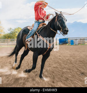 Young boy en utilisant le lasso à cheval rodeo Banque D'Images