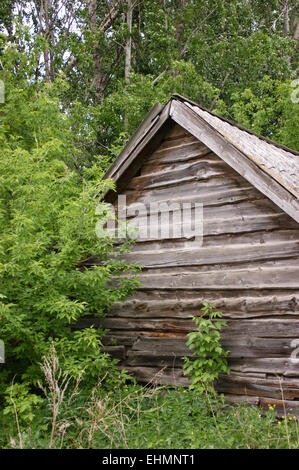 Vieille maison de bois dans les bois Banque D'Images