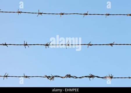 Fil de fer barbelé Banque D'Images