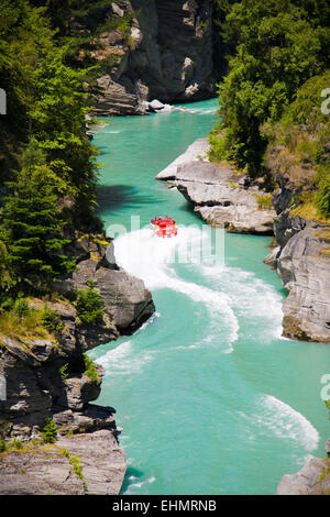 Saute-moutons sur la Shotover River, près de Queenstown, île du Sud Nouvelle-Zélande Banque D'Images