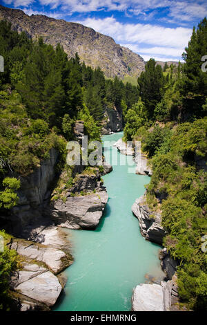 Saute-moutons sur la Shotover River, près de Queenstown, île du Sud Nouvelle-Zélande Banque D'Images