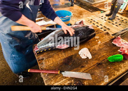 Le thon en vente au marché aux poissons de Tsukiji, Tokyo, Japon. Banque D'Images