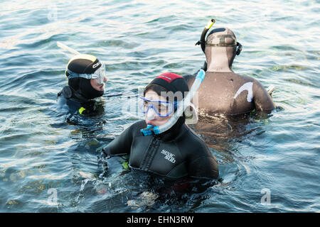 Les plongeurs en formation dans un beau dimanche matin Banque D'Images