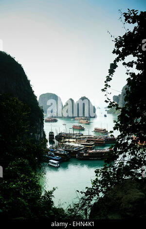 HALUNG BAY, VIETNAM bateaux de touristes autour d'un marché flottant dans la baie d'Halung. Banque D'Images