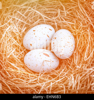 Trois oeufs de Pâques dans le nid pour Pâques avec des tons orange