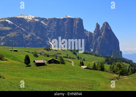 Mont Schlern / Sciliar, Alpe di Siusi, / Alpe di Siusi Banque D'Images